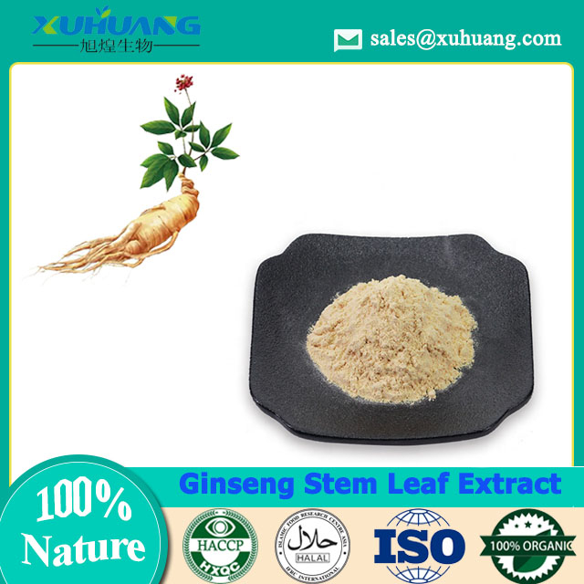 Extrato de folha de caule de ginseng