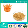Pó Cordyceps Militaris